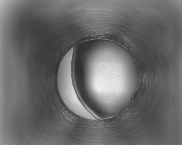 X0000071770868200606300939