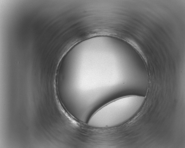 X0000071770906200606300938