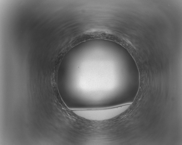 X0000071770965200606300937