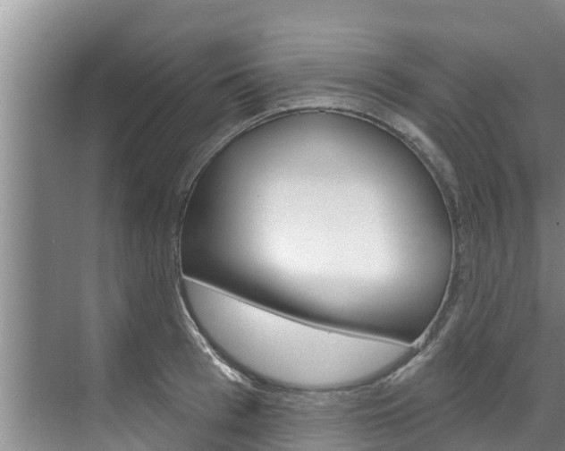 X0000071770993200606300937
