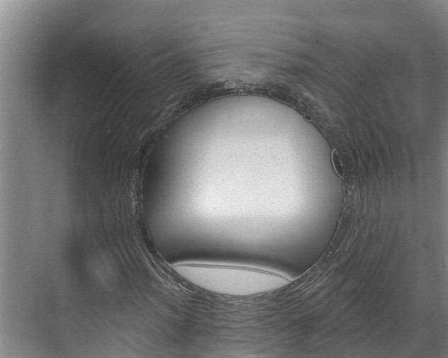 X0000071771012200606300936