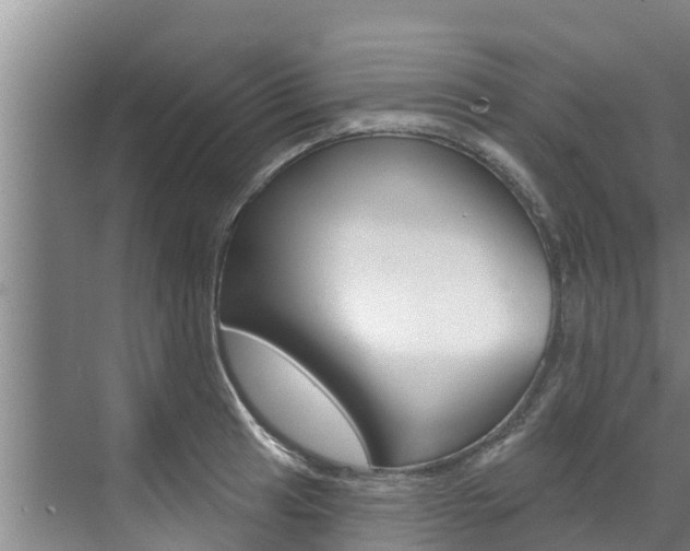 X0000071771041200606300936