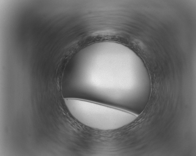 X0000071771062200606300936