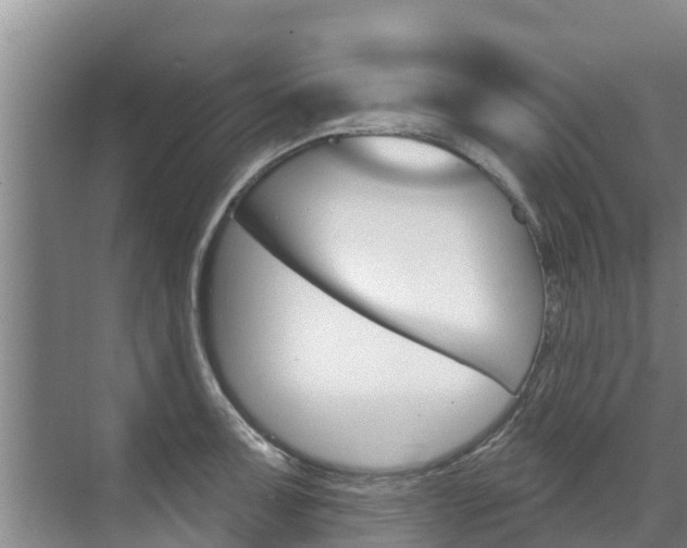 X0000071771091200606300935