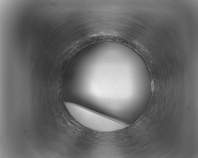 X0000071771110200606300934
