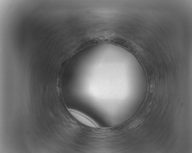 X0000071771156200606300934