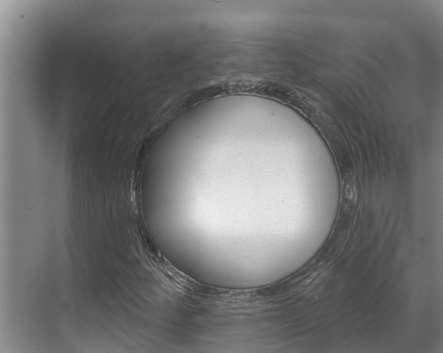 X0000071771252200606300933