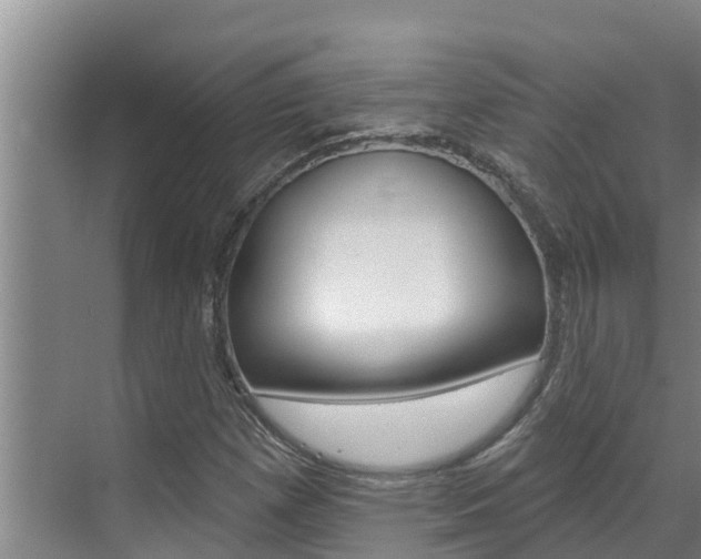 X0000071771257200606300932