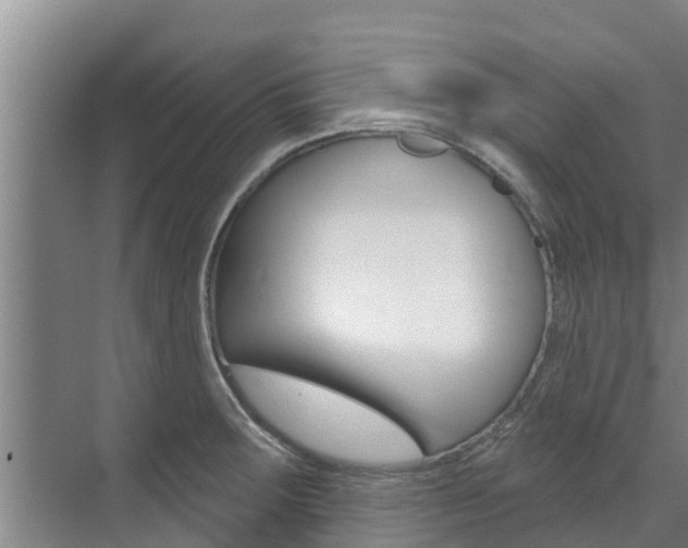 X0000071771283200606300932