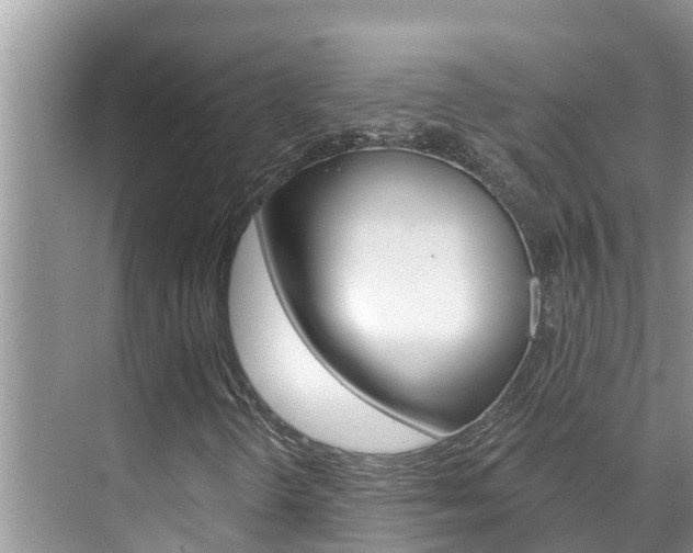 X0000071771298200606300931