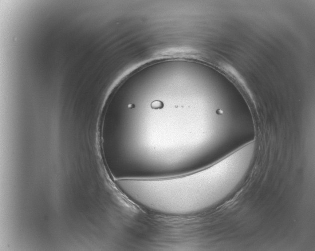 X0000071771336200606300932