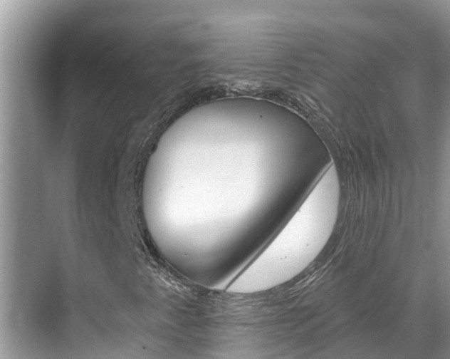 X0000071771345200606300931
