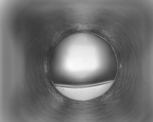 X0000071771348200606300931
