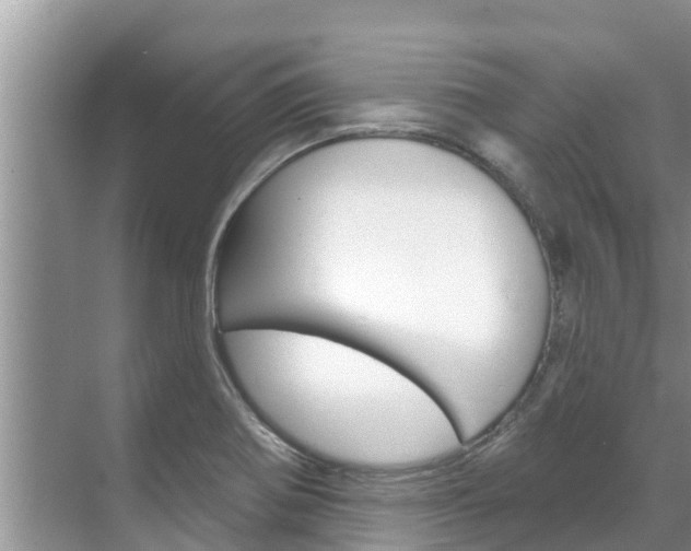 X0000071771370200606300931