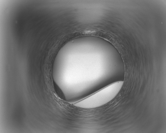 X0000071771441200606300929