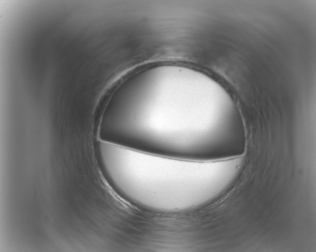 X0000071771452200606300929