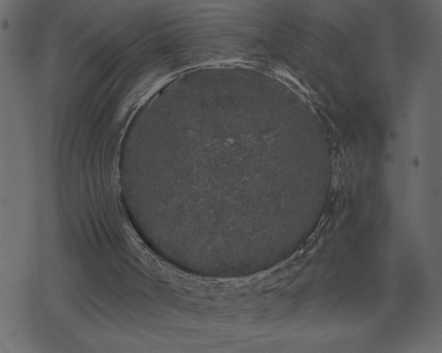 X0000071770002200606301207