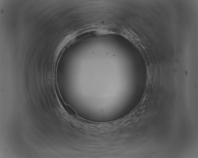 X0000071770003200606301207