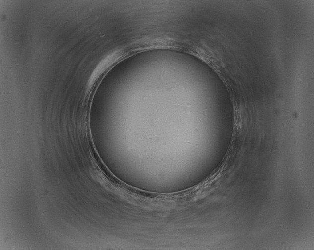 X0000071770004200606301207