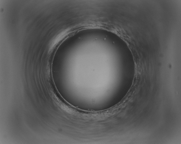 X0000071770005200606301207