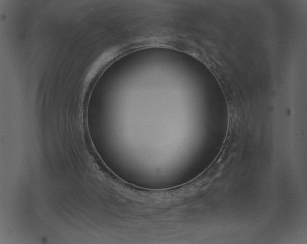 X0000071770006200606301207