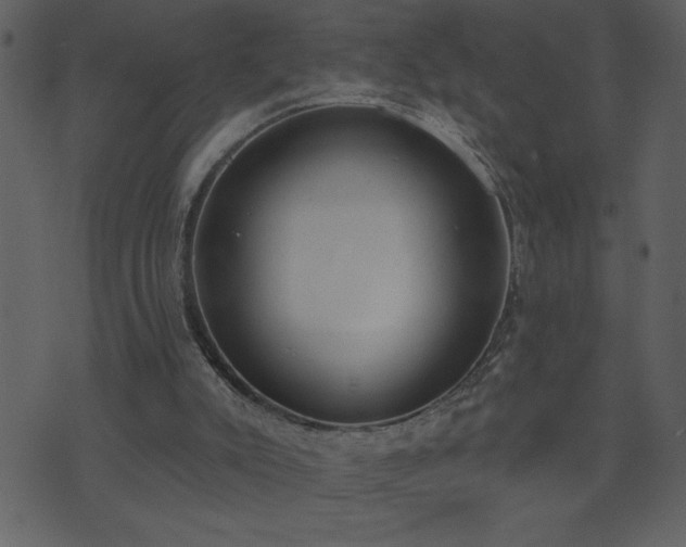 X0000071770007200606301207