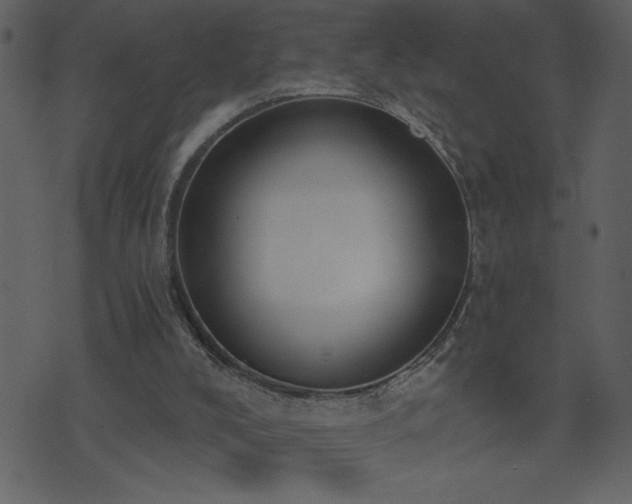 X0000071770008200606301207