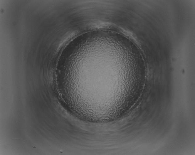 X0000071770010200606301207