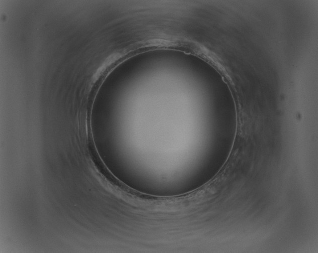 X0000071770011200606301207