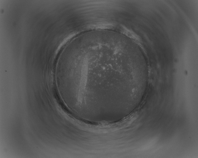 X0000071770012200606301207