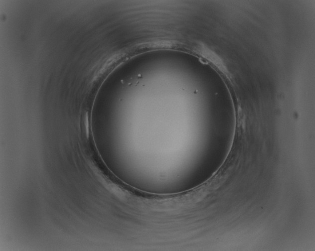 X0000071770013200606301206