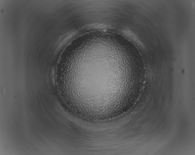 X0000071770014200606301206