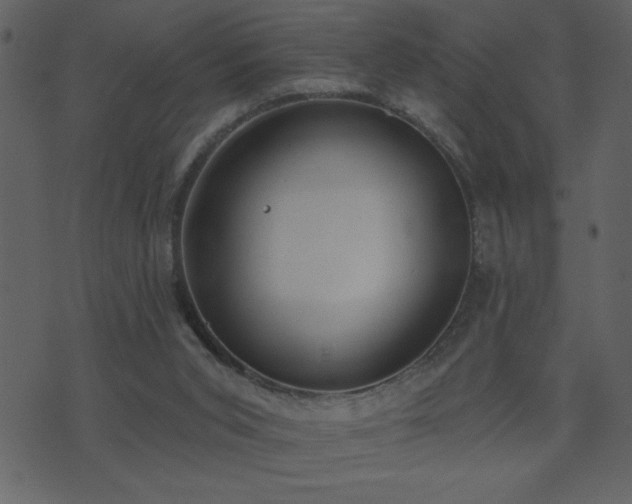 X0000071770015200606301206