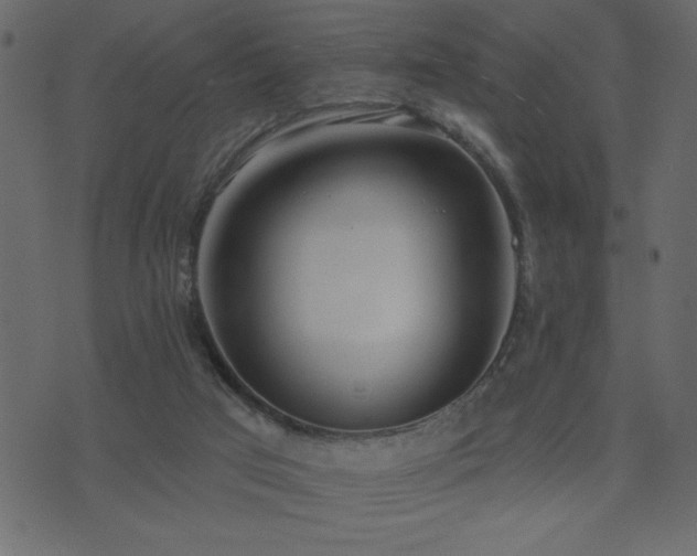 X0000071770017200606301206