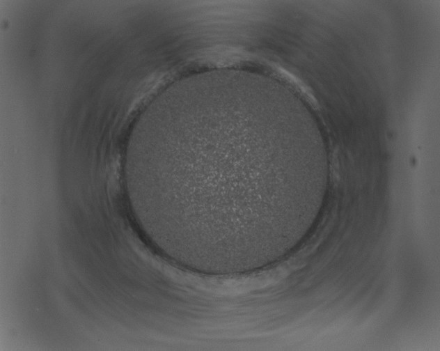 X0000071770018200606301206