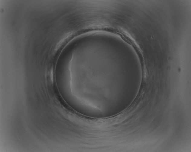 X0000071770019200606301206