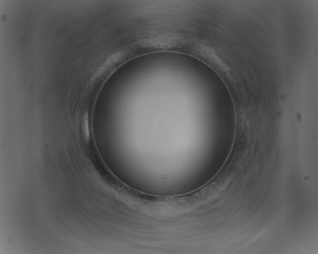 X0000071770020200606301206