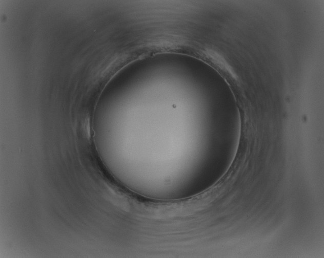 X0000071770021200606301206