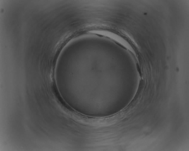 X0000071770023200606301206