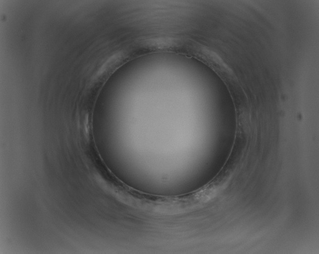 X0000071770024200606301206