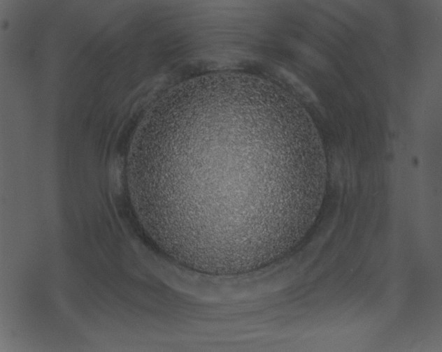 X0000071770026200606301206