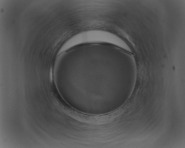 X0000071770027200606301206