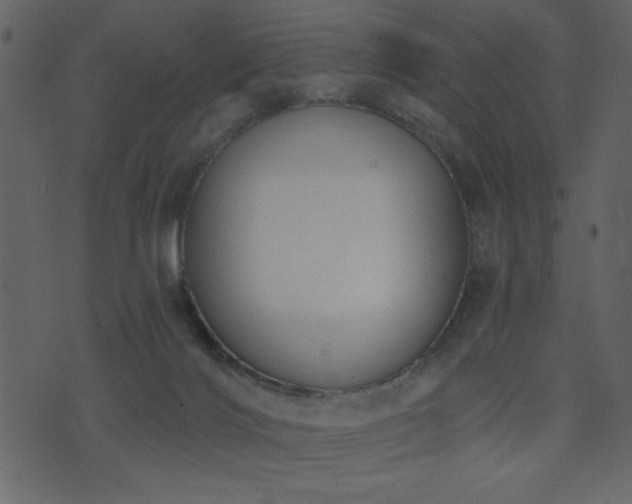 X0000071770028200606301206