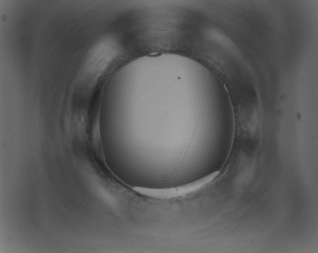 X0000071770029200606301206