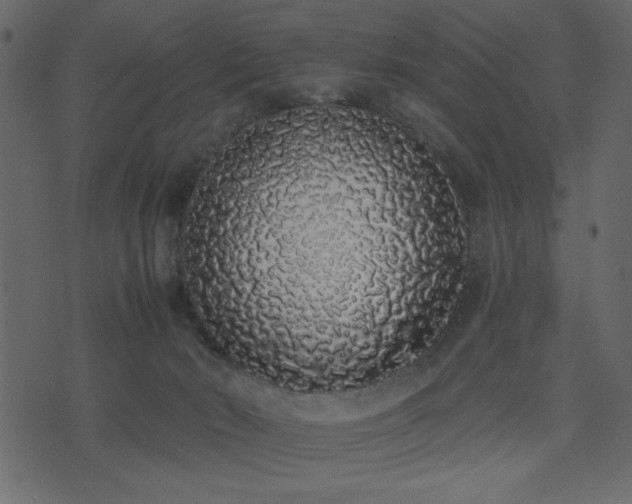 X0000071770030200606301206