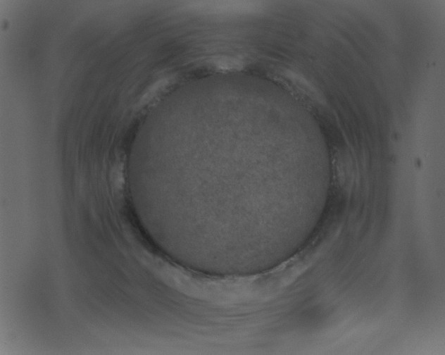 X0000071770032200606301206