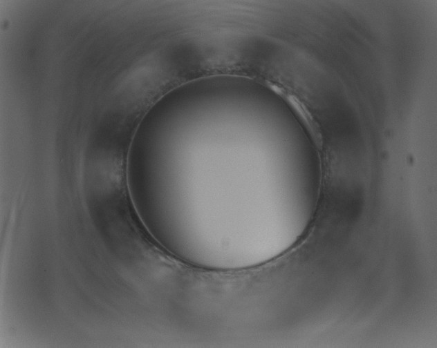 X0000071770033200606301206