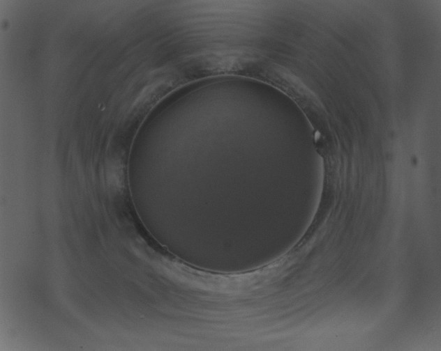 X0000071770035200606301206