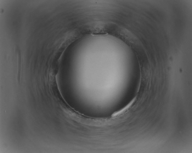 X0000071770037200606301206