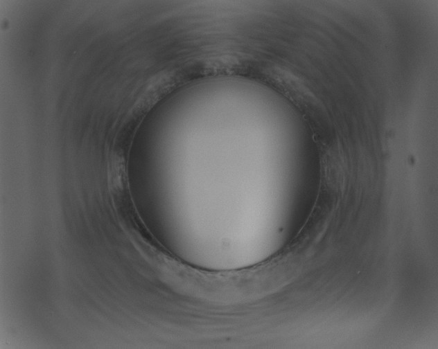 X0000071770038200606301206